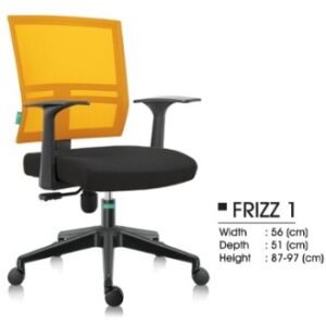 FRIZZ 1